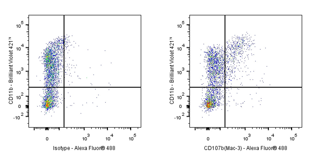 Rat Anti-Mouse CD107b (Mac-3) Antibody (M3/84)