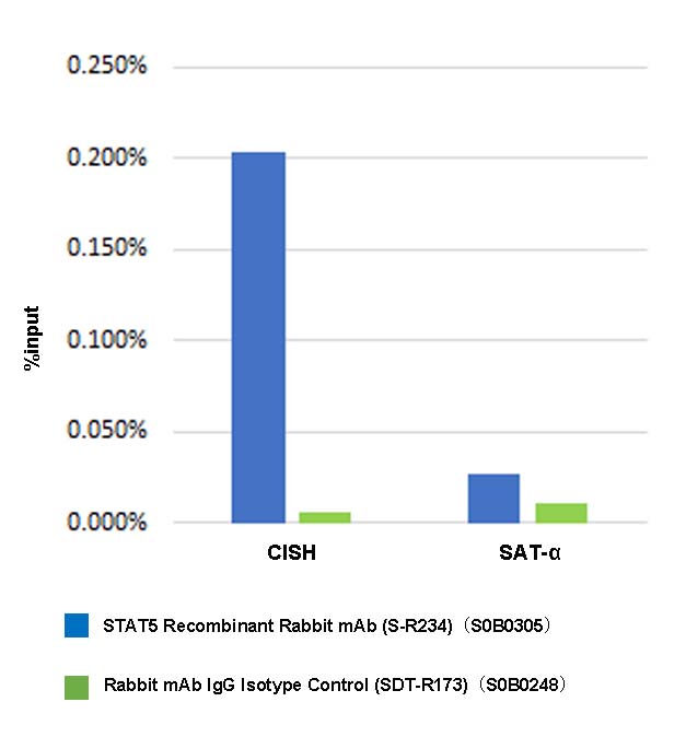 Stat5 Recombinant Rabbit mAb (S-R234)