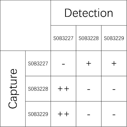 Influenza A nucleoprotein Recombinant Rabbit mAb (SDT-695-9)