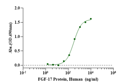 FGF-17 Protein, Human