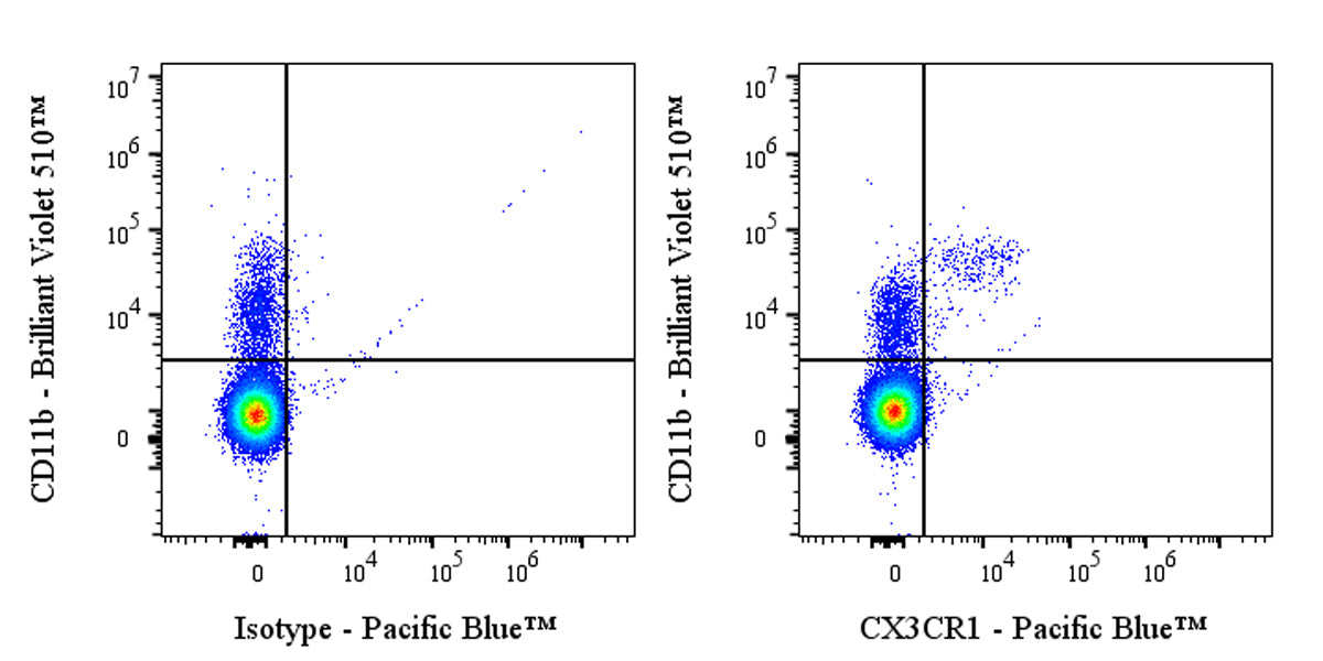 Pacific Blue Mouse Anti-Mouse CX3CR1 Antibody (S-R597)