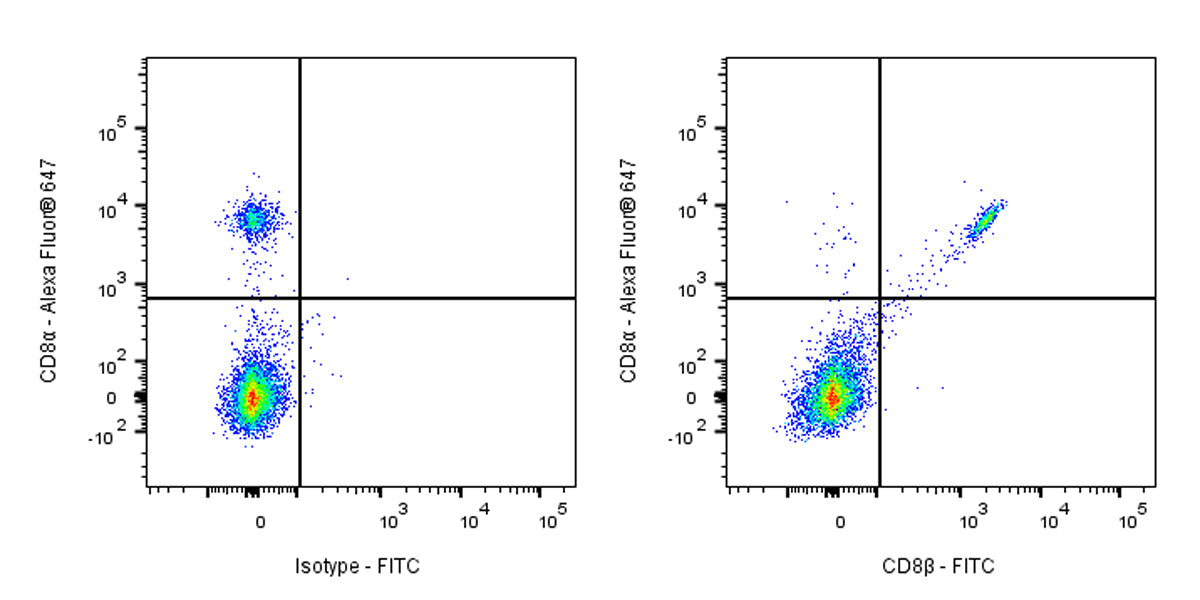 FITC Rat Anti-Mouse CD8β Antibody (53-5.8)