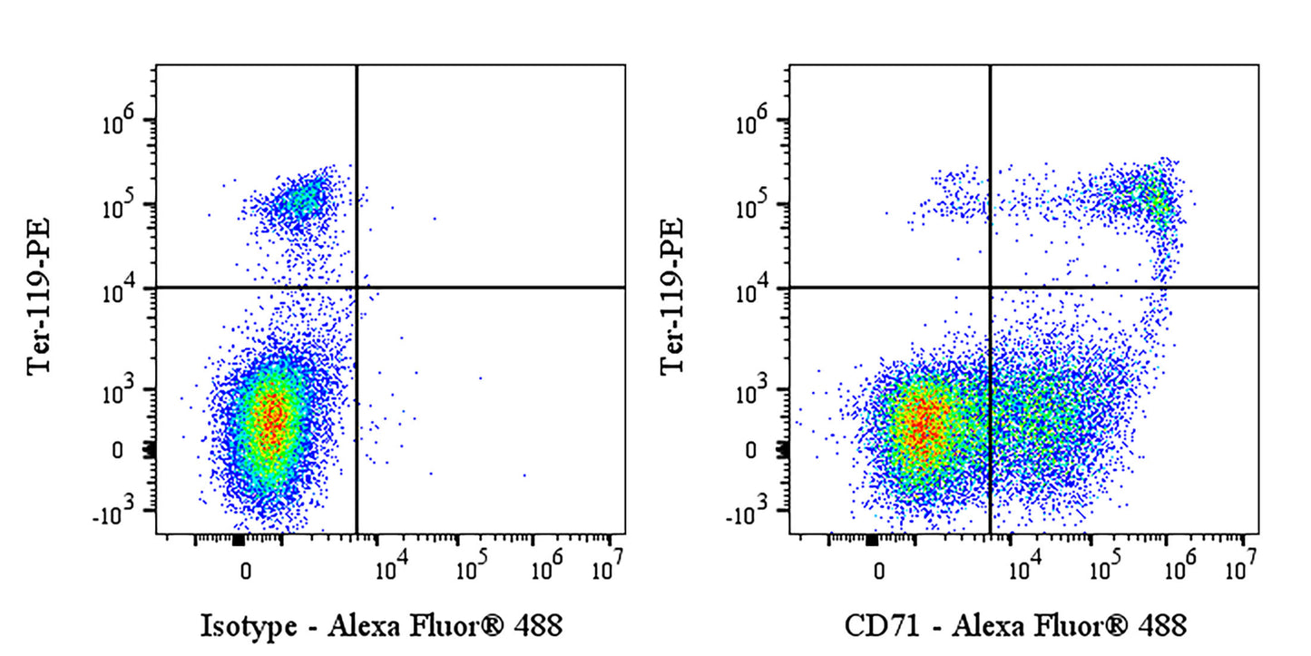 Alexa Fluor® 488 Rat Anti-Mouse CD71 Antibody (RI7217)