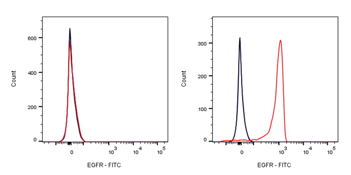 FITC Biosimilar Anti-Human EGFR Antibody (Cetuximab)