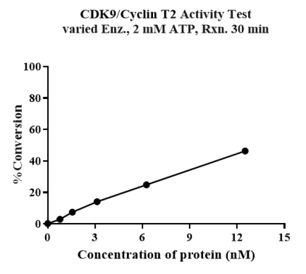 CDK9/Cyclin T2 Protein