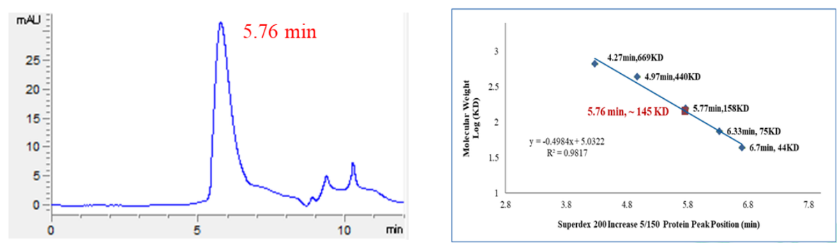 DHX9 Protein