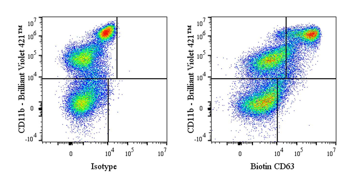 Biotin Rat Anti-Mouse CD63 Antibody (S-R667)