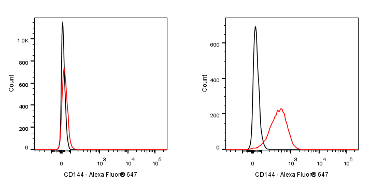 Alexa Fluor® 647 Rat Anti-Mouse CD144 Antibody (S-R719)