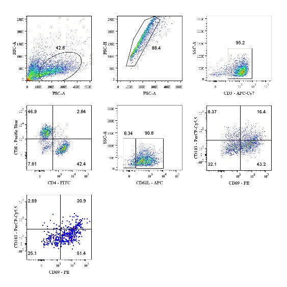 Human Tissue-Resident T Cells Kit