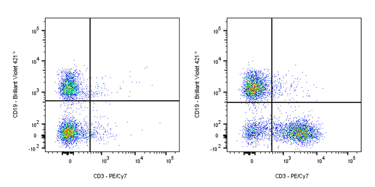 PE-Cy7 Rat Anti-Mouse CD3 Antibody (17A2)