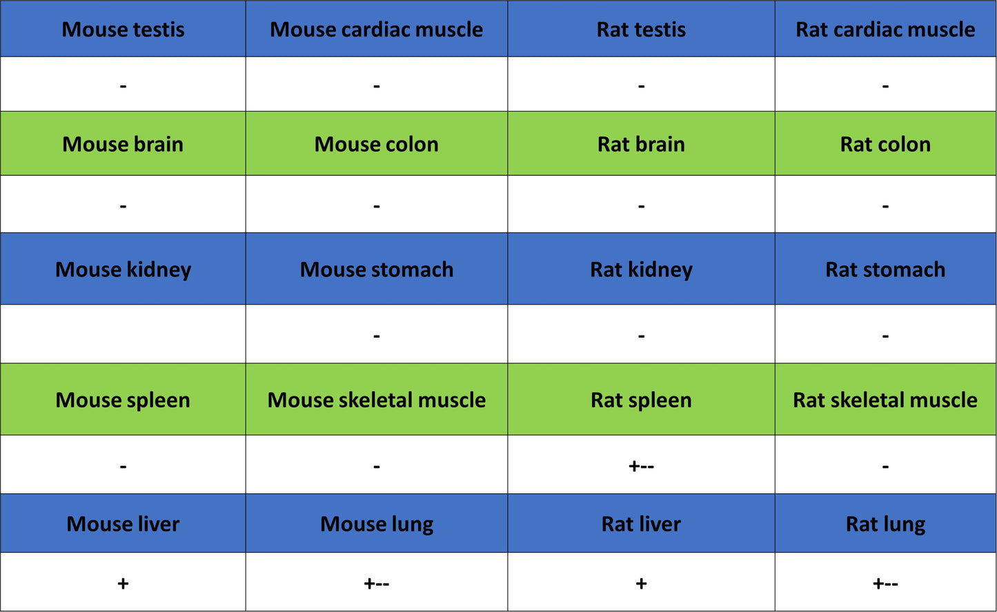 CEBPA Recombinant Rabbit mAb (S-3629-33)