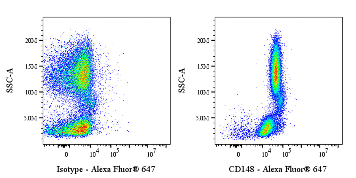 Alexa Fluor® 647 Mouse Anti-Human CD148 Antibody (S-3121)