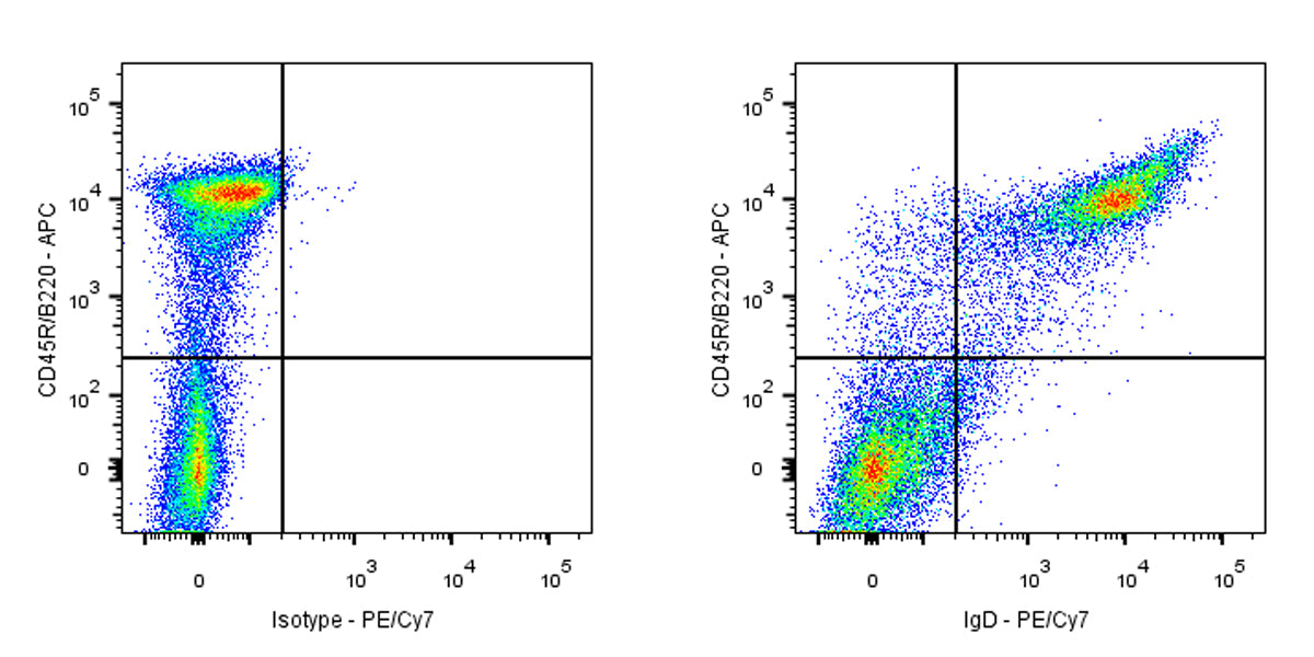 PE-Cy7 Rat Anti-Mouse IgD Antibody (S-R622)