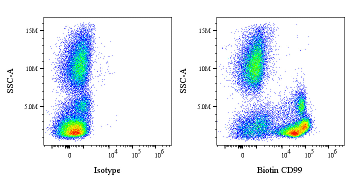 Biotin Mouse Anti-Human CD99 Antibody (S-R646)