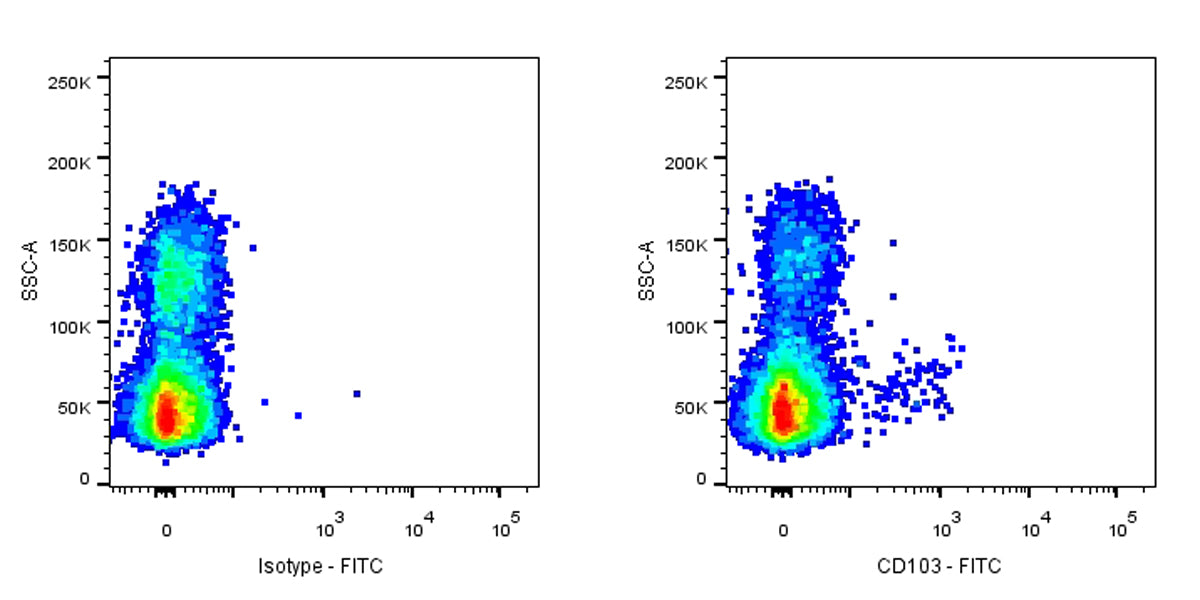 FITC Mouse Anti-Human CD103 Antibody (Ber-ACT8)