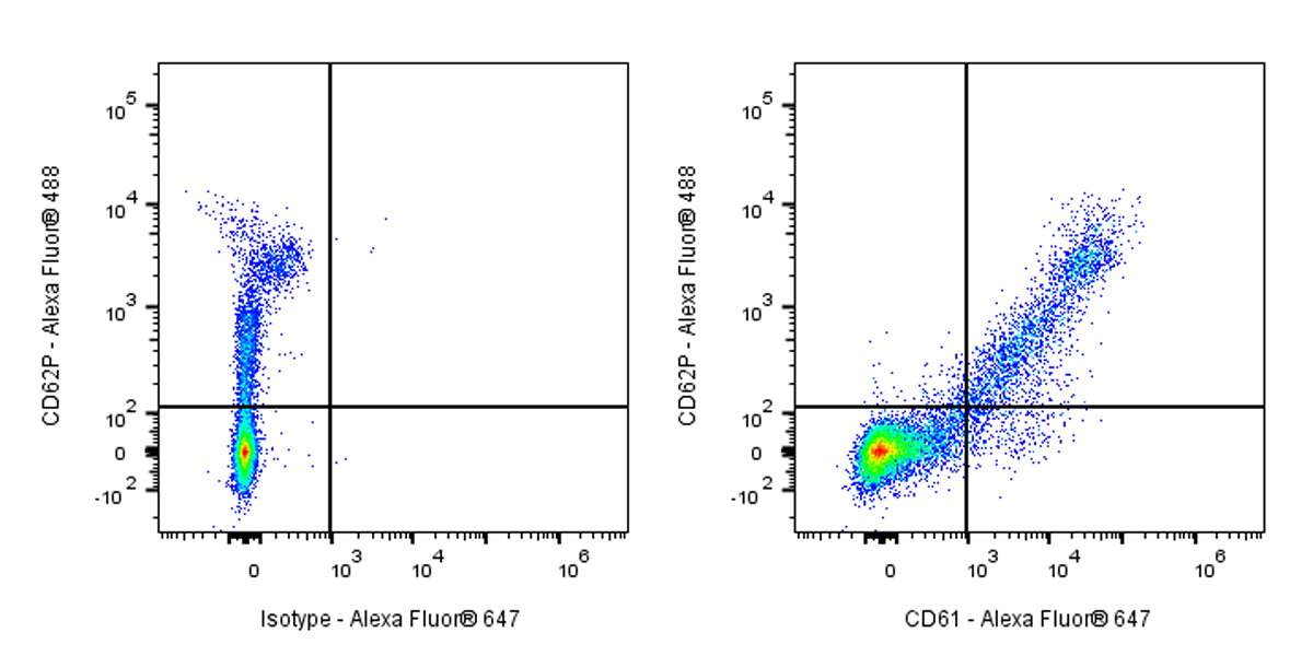 Mouse Anti-Human CD61 Antibody (S-R618)