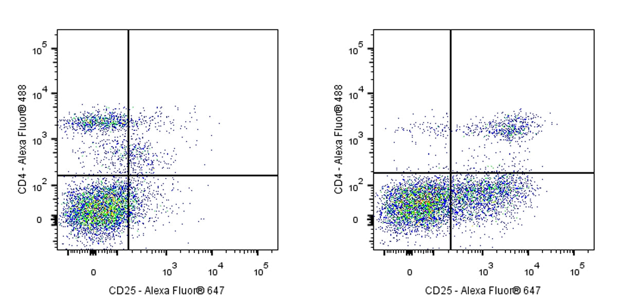 Alexa Fluor® 647 Mouse Anti-Rat CD25 Antibody (OX-39)