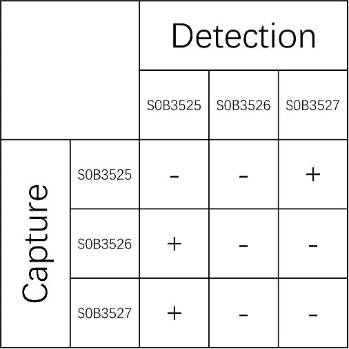 Kappa light chain Recombinant Rabbit mAb (SDT-385-243-2)