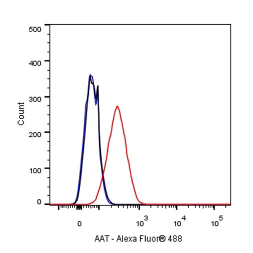 AAT Recombinant Rabbit mAb (S-943-37)