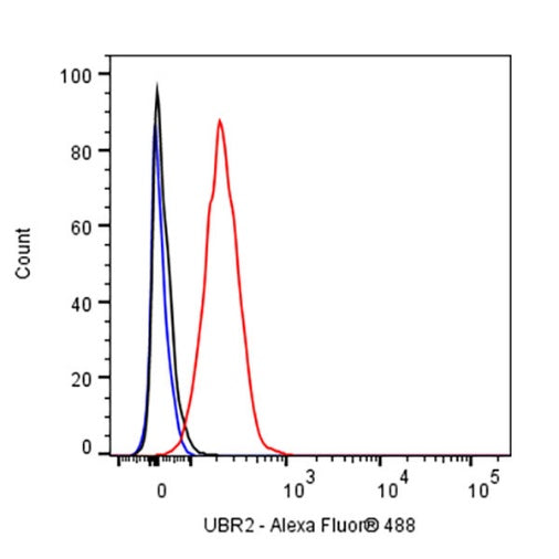 UBR2 Recombinant Rabbit mAb (S-2041-163)