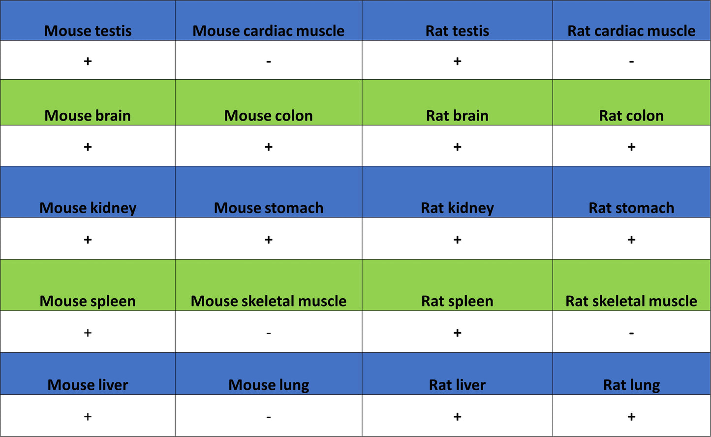 GFPT1 Recombinant Rabbit mAb (S-4752-19)
