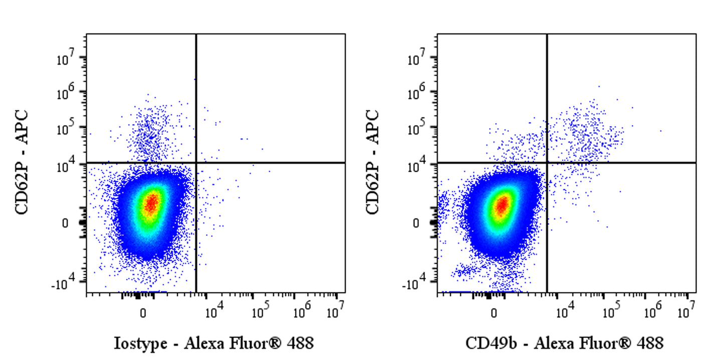 Mouse Anti-Human CD49b Antibody (AK-7)