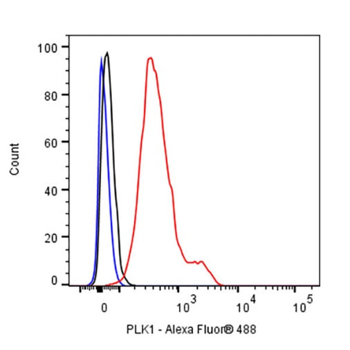 PLK1 Recombinant Rabbit mAb (S-2835-32)