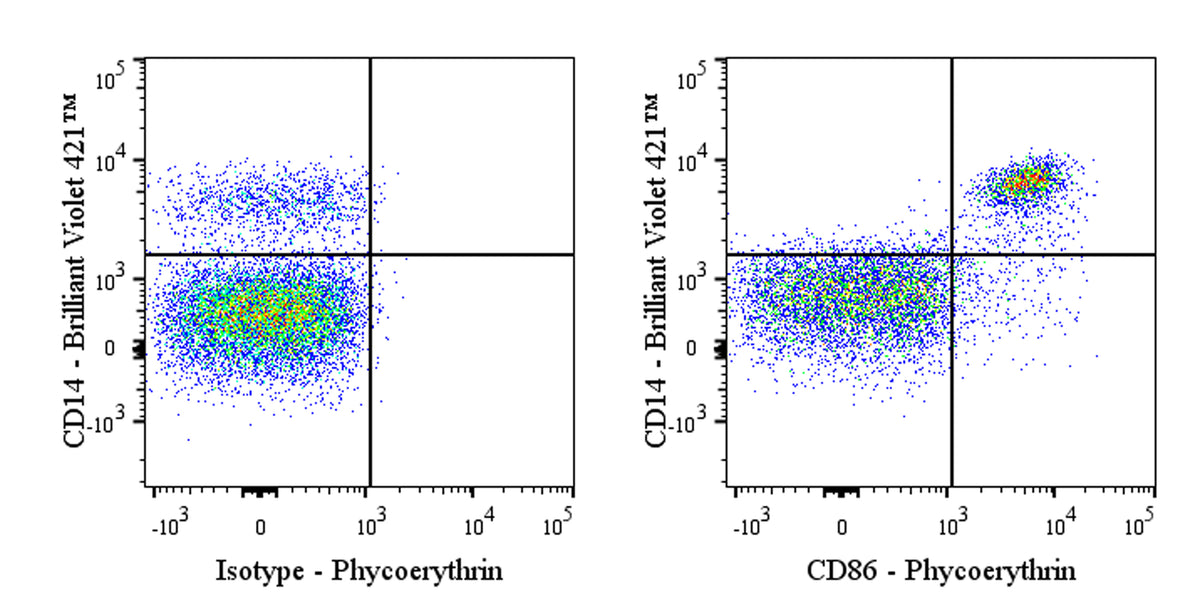 PE Mouse Anti-Human CD86 Antibody (IT2.2)