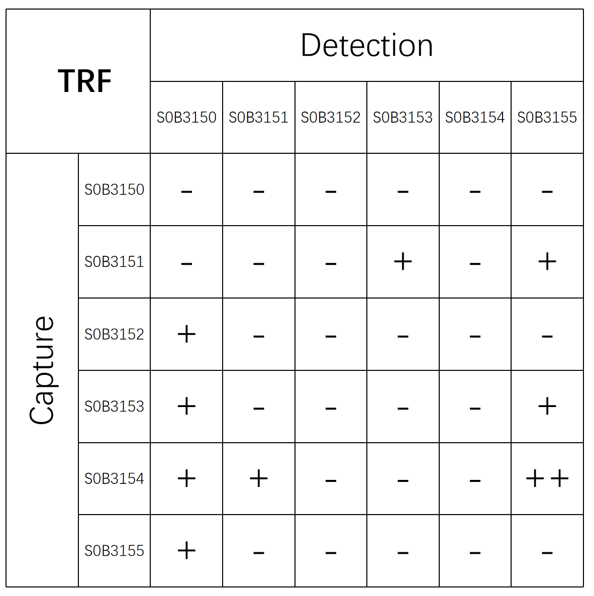 TRF Recombinant Rabbit mAb (SDT-613-112)