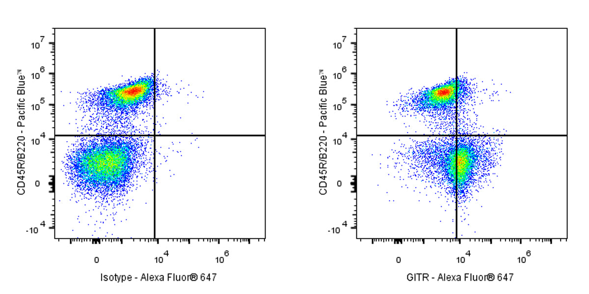 Rat Anti-Mouse GITR Antibody (S-3837)