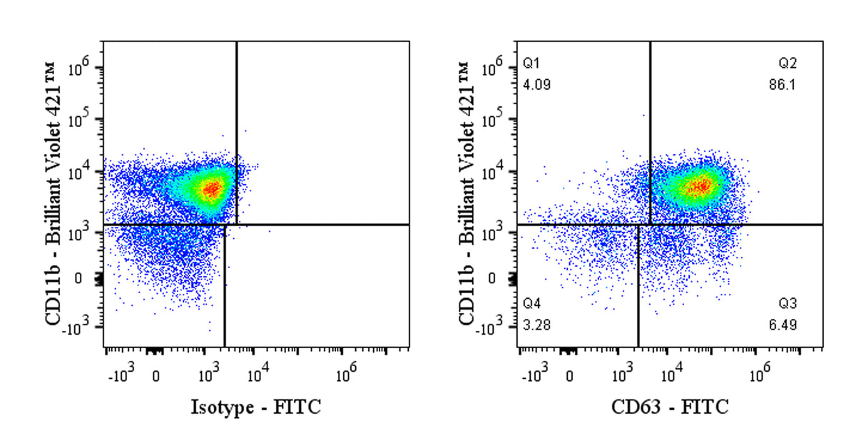 FITC Rat Anti-Mouse CD63 Antibody (S-R667)