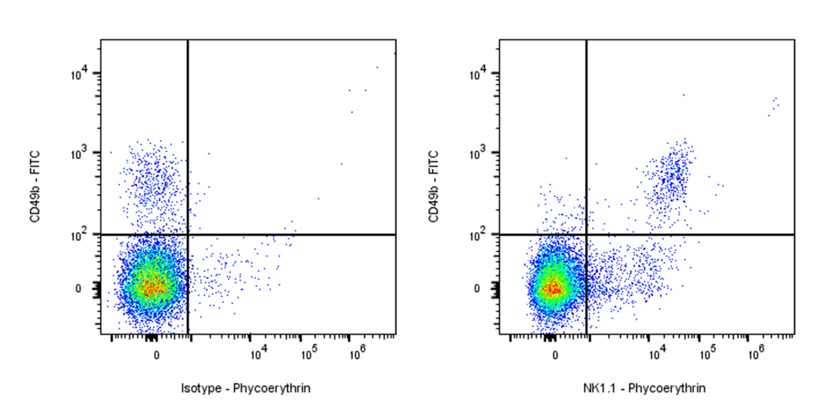 PE Mouse Anti-Mouse NK1.1 Antibody (PK136)