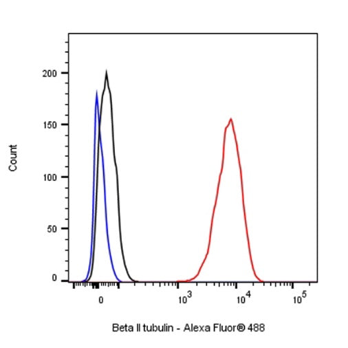 Beta II tubulin Recombinant Rabbit mAb (S-1055-2)