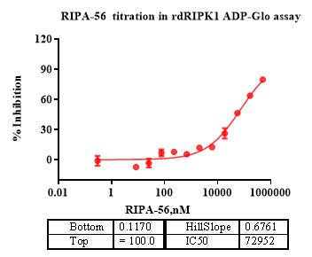 RIPK1 Protein, Dog