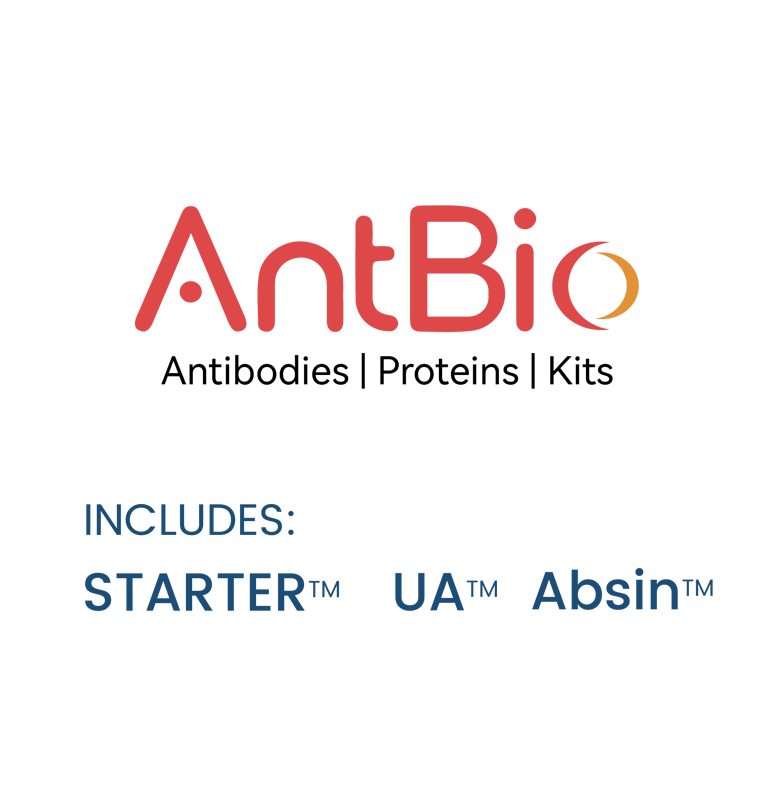 IL-6 Protein, Human (GMP)