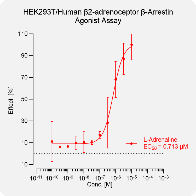 HEK293T Human β2-adrenoceptor
Arrestin Stable Cell