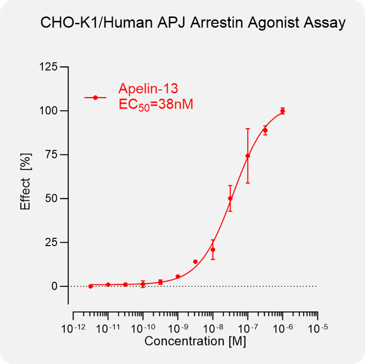 CHO-K1 Human APJ Arrestin Stable Cell