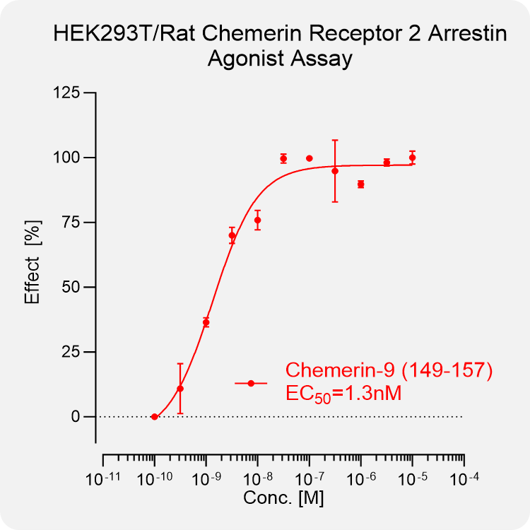 HEK293T Rat Chemerin 2 Arrestin Stable Cell