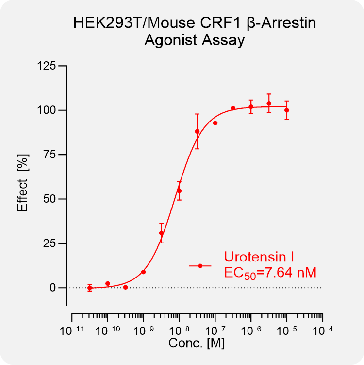 HEK293T Mouse CRF1 Arrestin Stable Cell