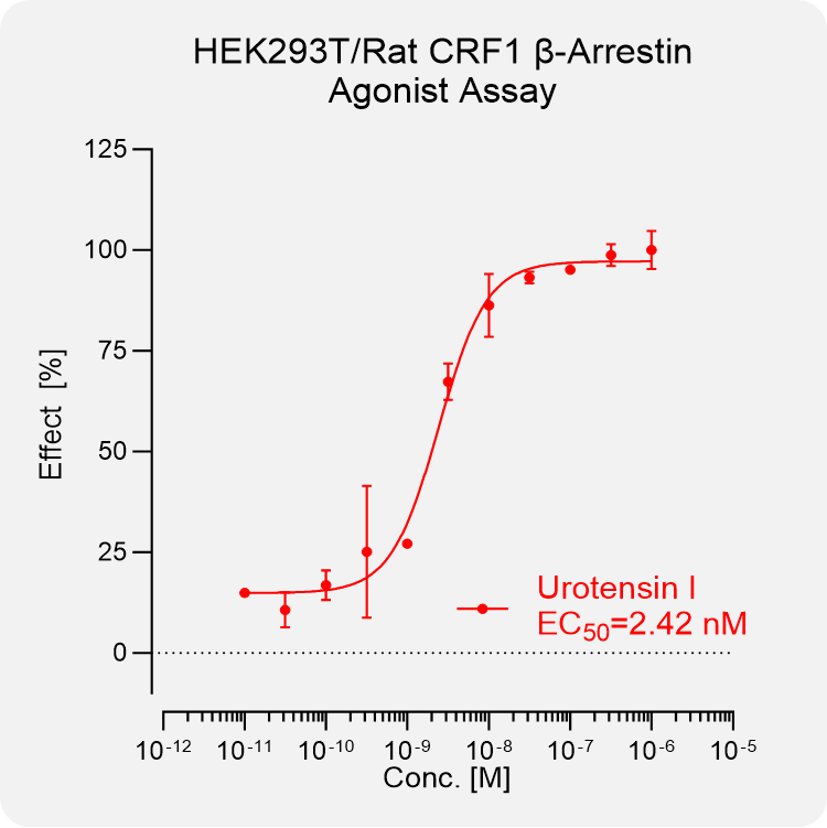 HEK293T Rat CRF1 Arrestin Stable Cell
