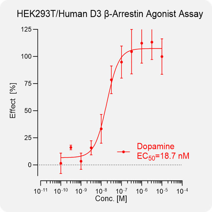 HEK293T Human D3 Arrestin Stable Cell