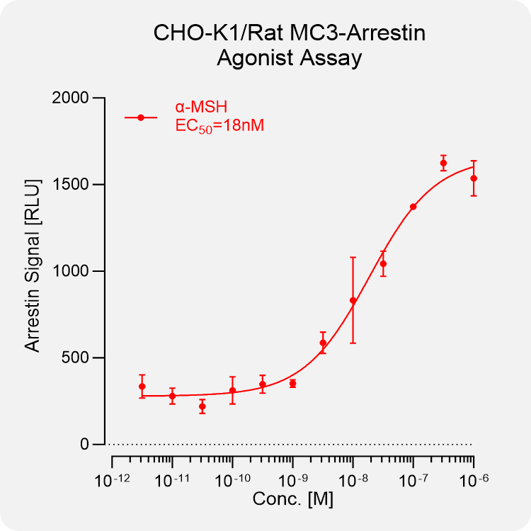 CHO-K1 Rat MC3 Arrestin Stable Cell