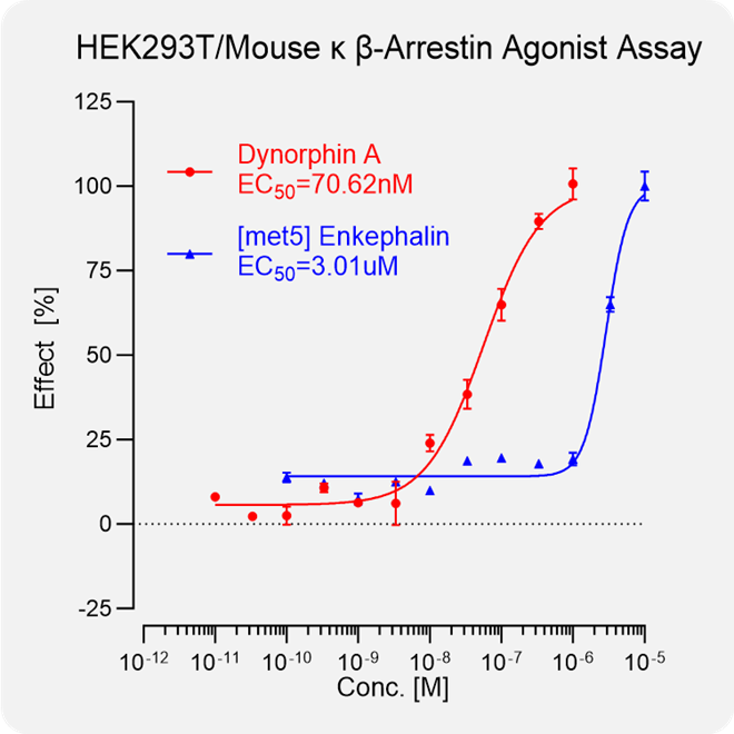 HEK293T Mouse κ Arrestin Stable Cell