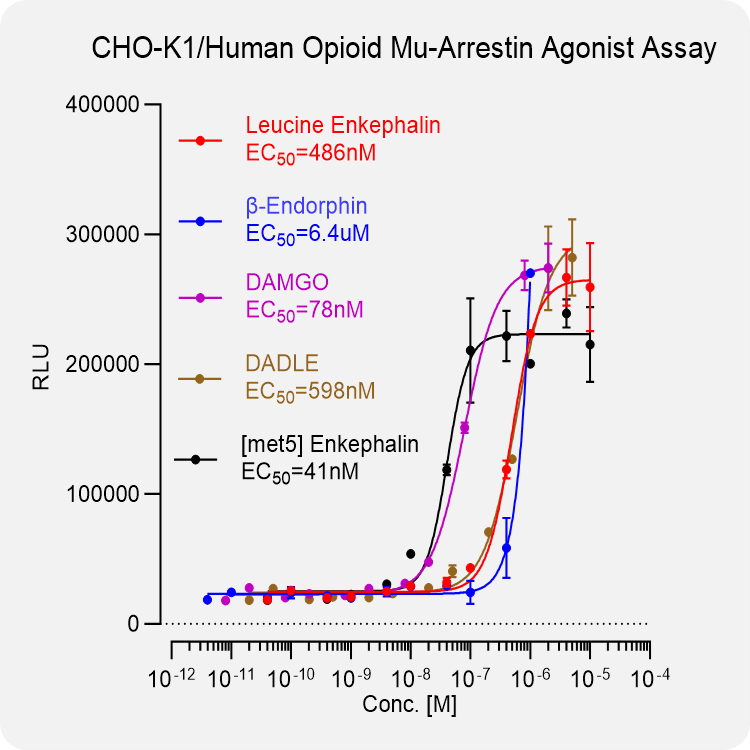 CHO-K1 Human Opioid Mu Arrestin Stable Cell