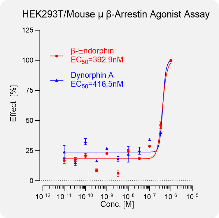 HEK293T Mouse μ Arrestin Stable Cell