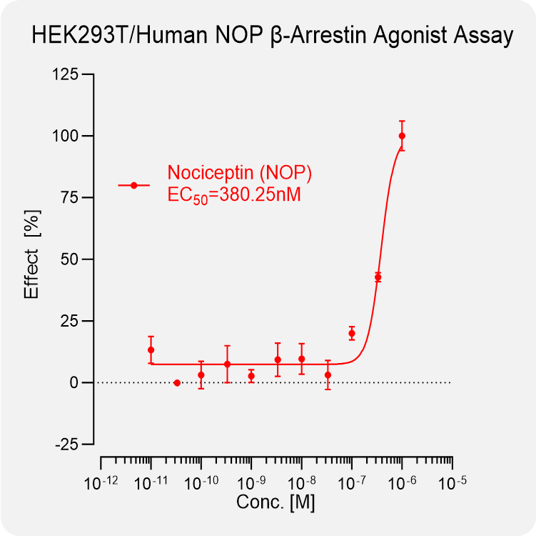 HEK293T Human NOP Arrestin Stable Cell