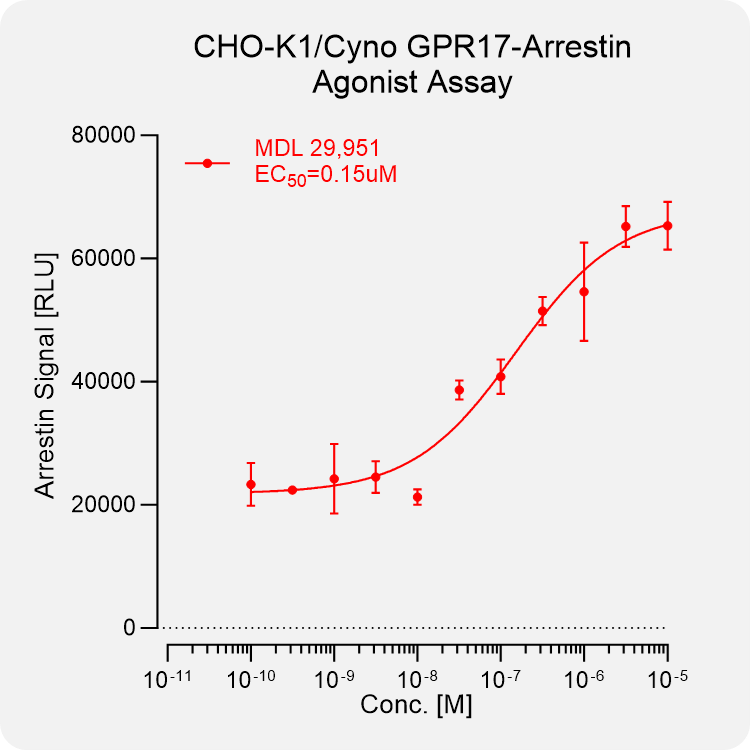 CHO-K1 Cyno GPR17 Arrestin Stable Cell