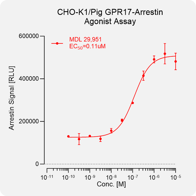 CHO-K1 Pig GPR17 Arrestin Stable Cell