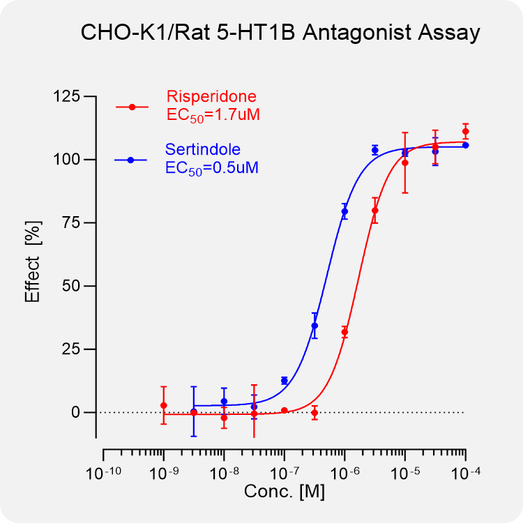 CHO-K1 Rat 5-HT1B Stable Cell