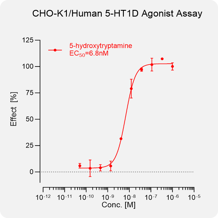 CHO-K1 Human 5-HT1D Stable Cell